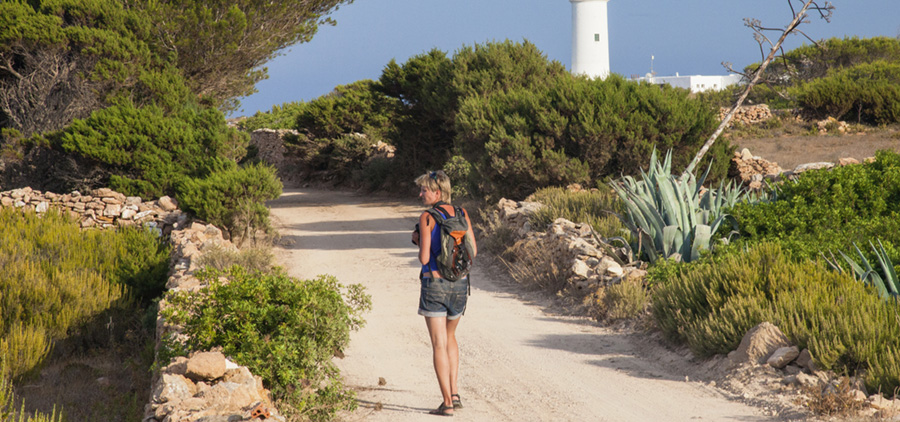 7 claves para admirar la belleza floral de Formentera ¡en primavera!